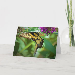 Borboleta, cartão