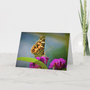 Borboleta, cartão