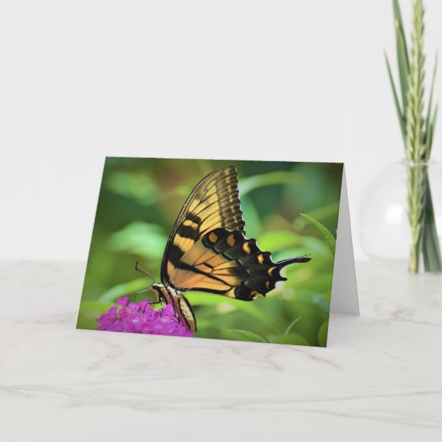 Borboleta, cartão (Frente)