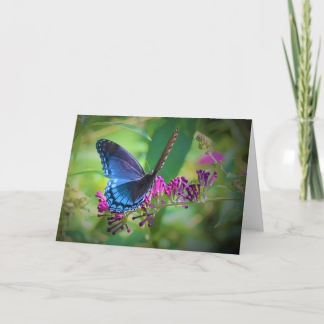 Borboleta, cartão (Frente)