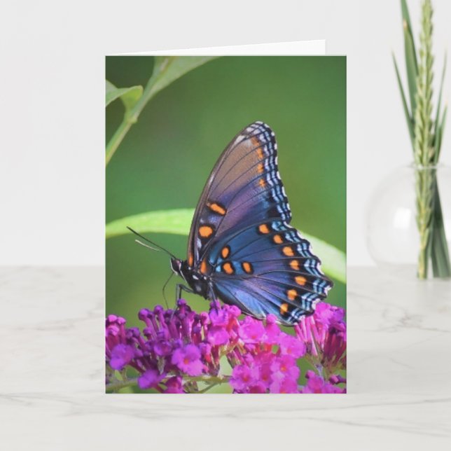 Borboleta, cartão (Frente)