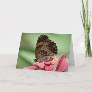 Borboleta, cartão