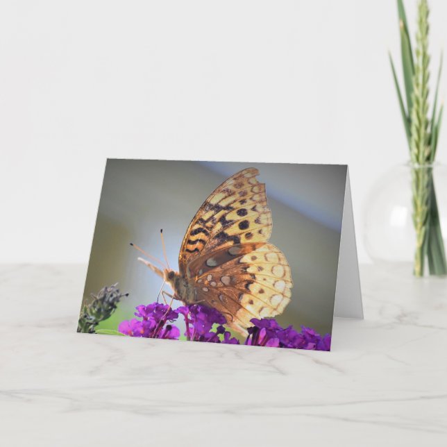 Borboleta, cartão (Frente)