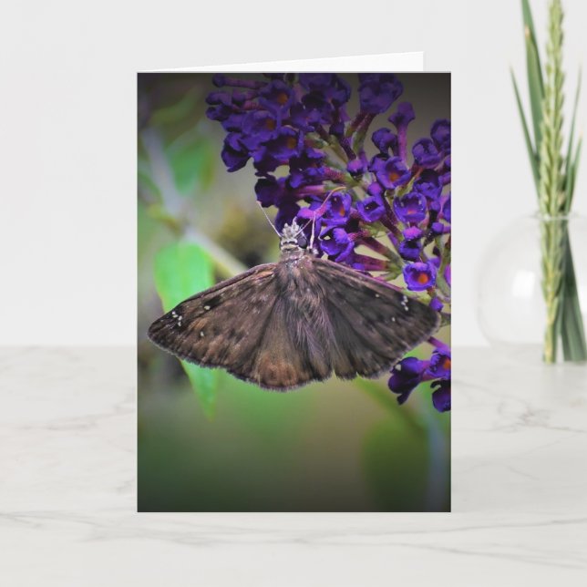 Borboleta, cartão (Frente)