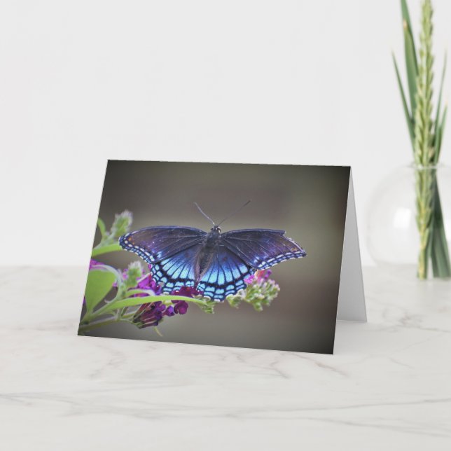Borboleta, cartão (Frente)