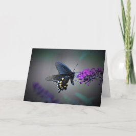 Borboleta, cartão