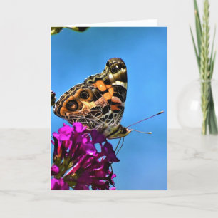 Borboleta, cartão