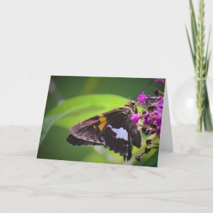 Borboleta, cartão