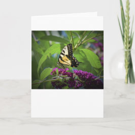 Borboleta, cartão