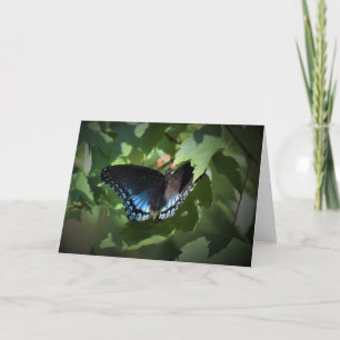 Borboleta, cartão