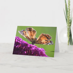 Borboleta, cartão