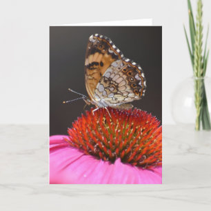 Borboleta, cartão