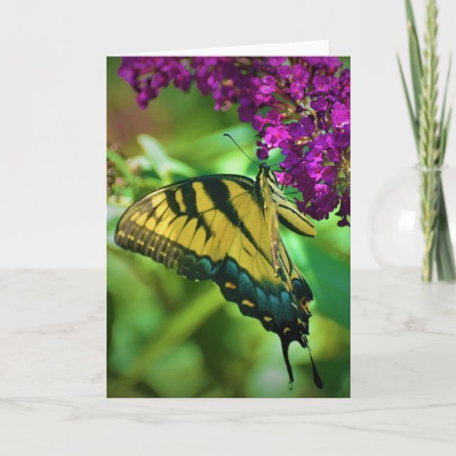 Borboleta, cartão (Frente)