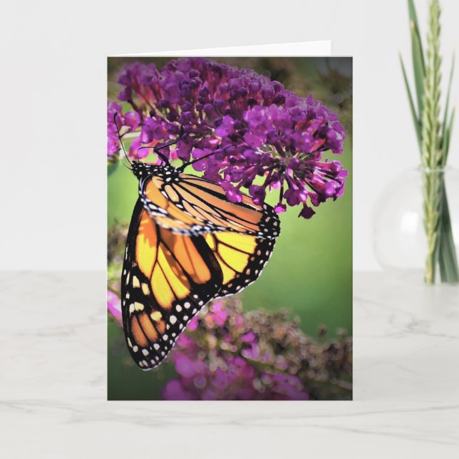 Borboleta, cartão (Frente)