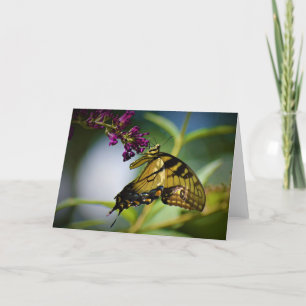 Borboleta, cartão