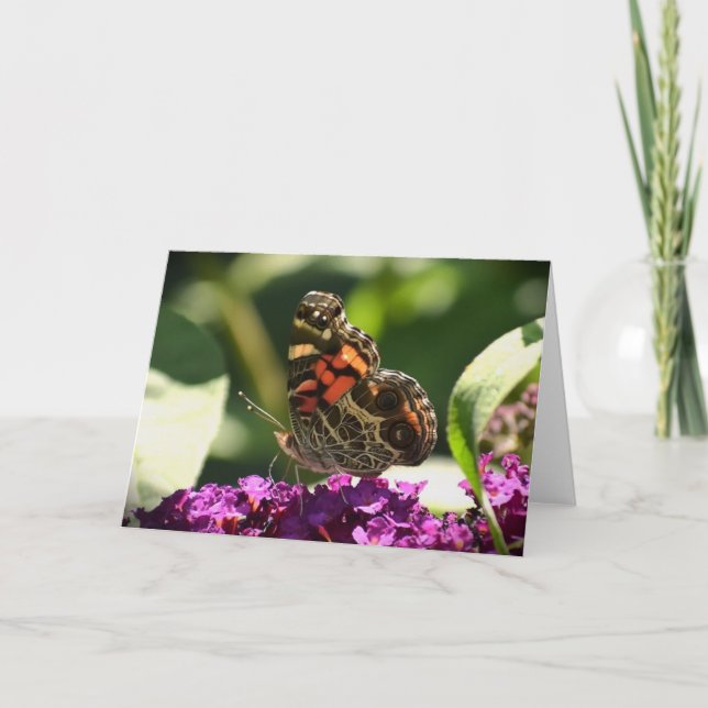 Borboleta, cartão (Frente)