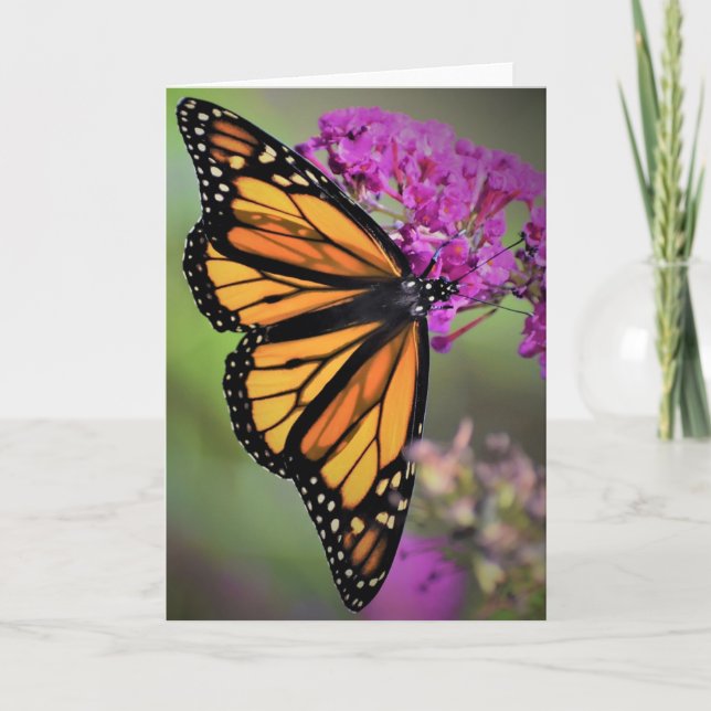 Borboleta, cartão (Frente)