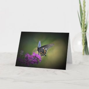 Borboleta, cartão
