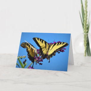 Borboleta, cartão
