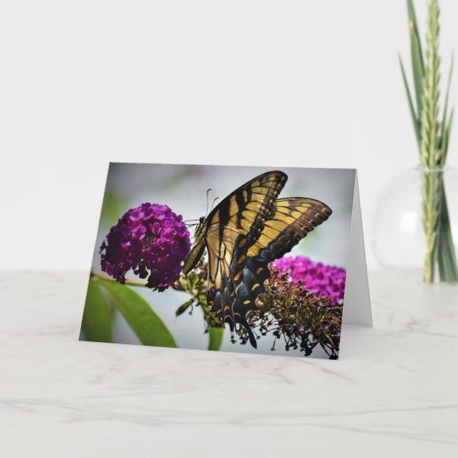 Borboleta, cartão (Frente)