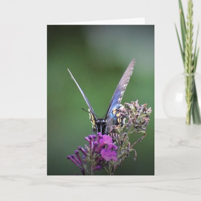 Borboleta, cartão (Frente)