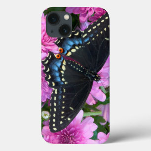 Borboleta Checkered de Baltimore