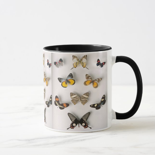 borboleta-coleção, caneca da campainha (Direita)