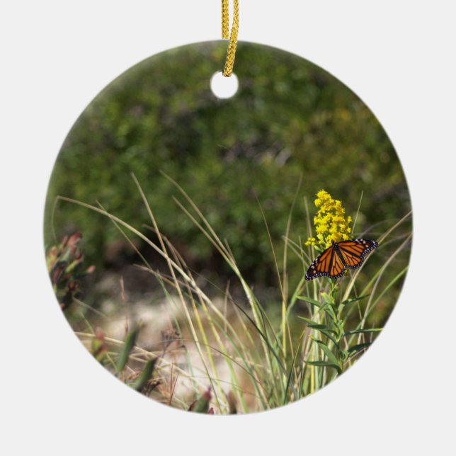 Borboleta com Ornamento Amarelo de Flores Selvagen (Frente)