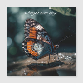 Borboleta com reflexo de água à luz do sol