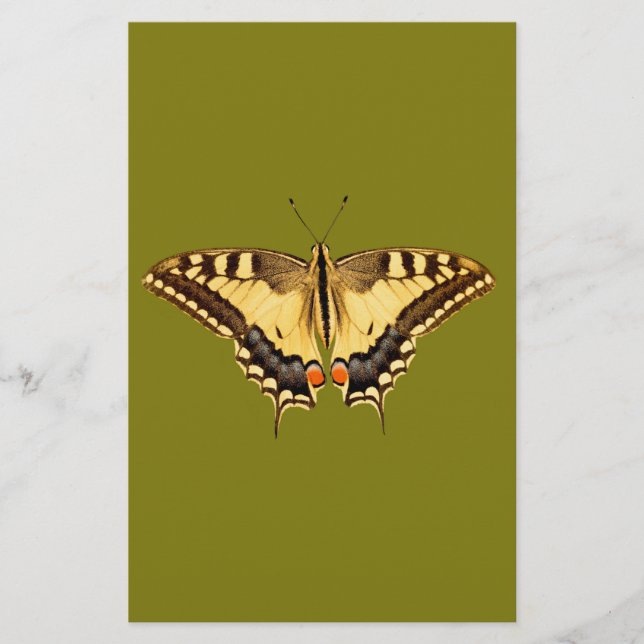 Borboleta Dançante (Frente)