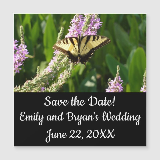 Borboleta-de-cauda-andorinha em Flores Roxas (Frente)