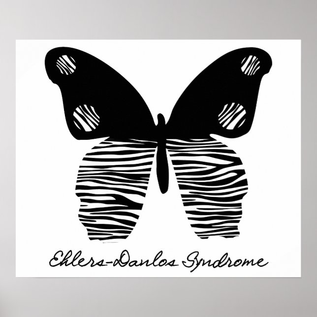 Borboleta de faixa Zebra EDS 24X20 Poster (Frente)
