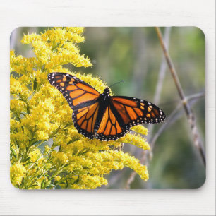 Borboleta de monarca em Mousepad Goldenrod