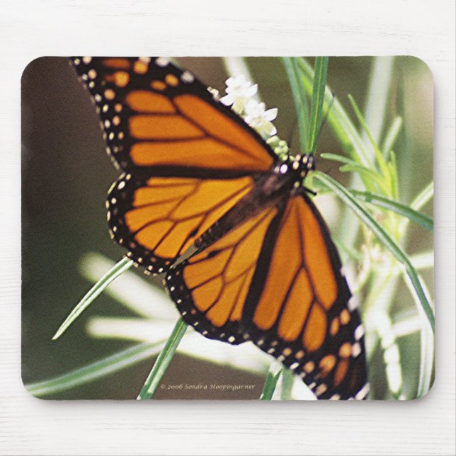 Borboleta de monarca Mousepad (Frente)