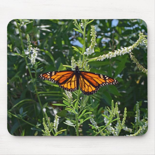 Borboleta de monarca Mousepad natural (Frente)