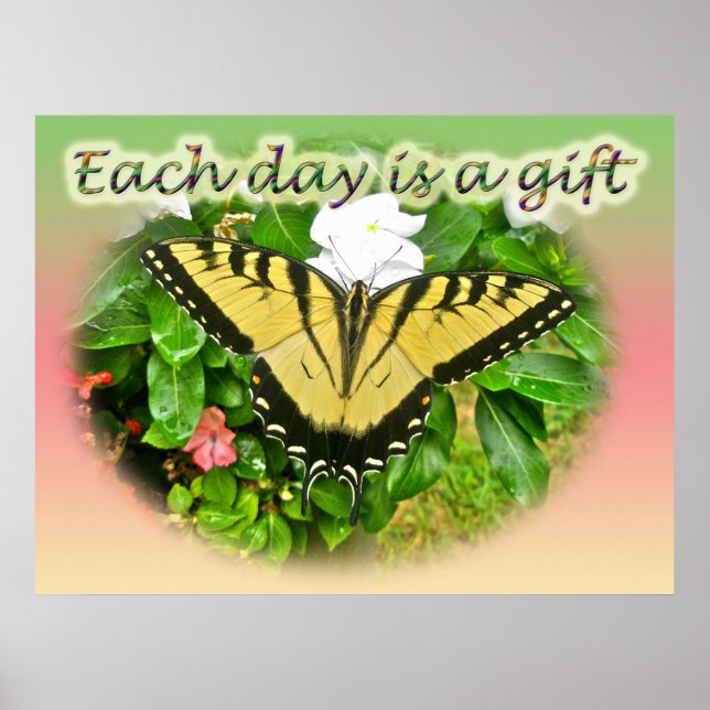 Borboleta-do-brejo poster Oriental Tigre (Frente)