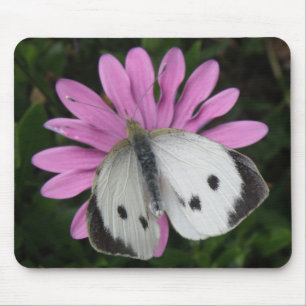 Borboleta e Mousepad Flor Rosa