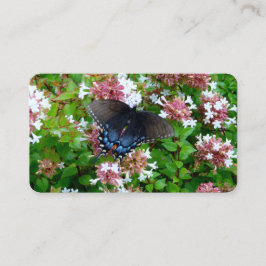 Borboleta em Cartões de visitas