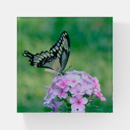 Borboleta Em Flores Rosa, Peso-Do-Papel