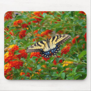 Borboleta entre o Lantana Mousepads
