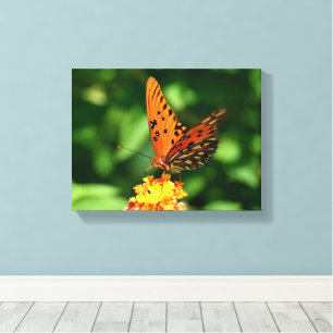 Borboleta Gulf Fritillary Impressão em Tela Estica