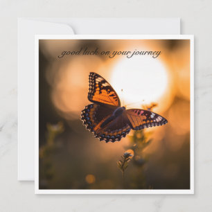 Borboleta Inspiradora Pôr do Sol Boa Sorte Jornada