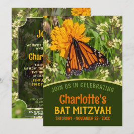 Borboleta Laranja Natureza Bat Energia Mitzvah