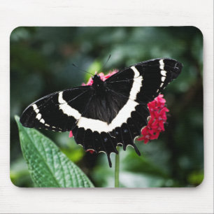 Borboleta Lolipop Mousepad