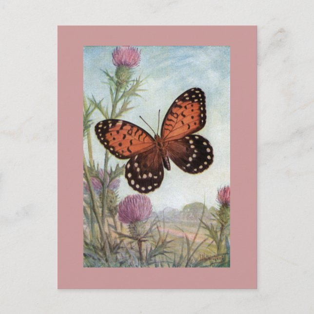 Borboleta Monarca em Cartão Postal de Trevo Roxo (Frente)