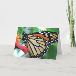 Borboleta Monarca para a Natureza Amante Cartão de