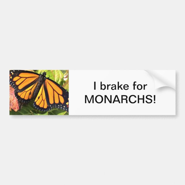 Borboleta Monarch - Adesivo (Frente)