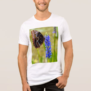 Borboleta morfo azul em uma t-shirt de pântano