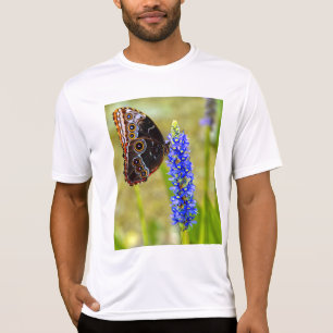 Borboleta morfo azul em uma t-shirt de pântano