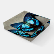 Borboleta Morpho Azul